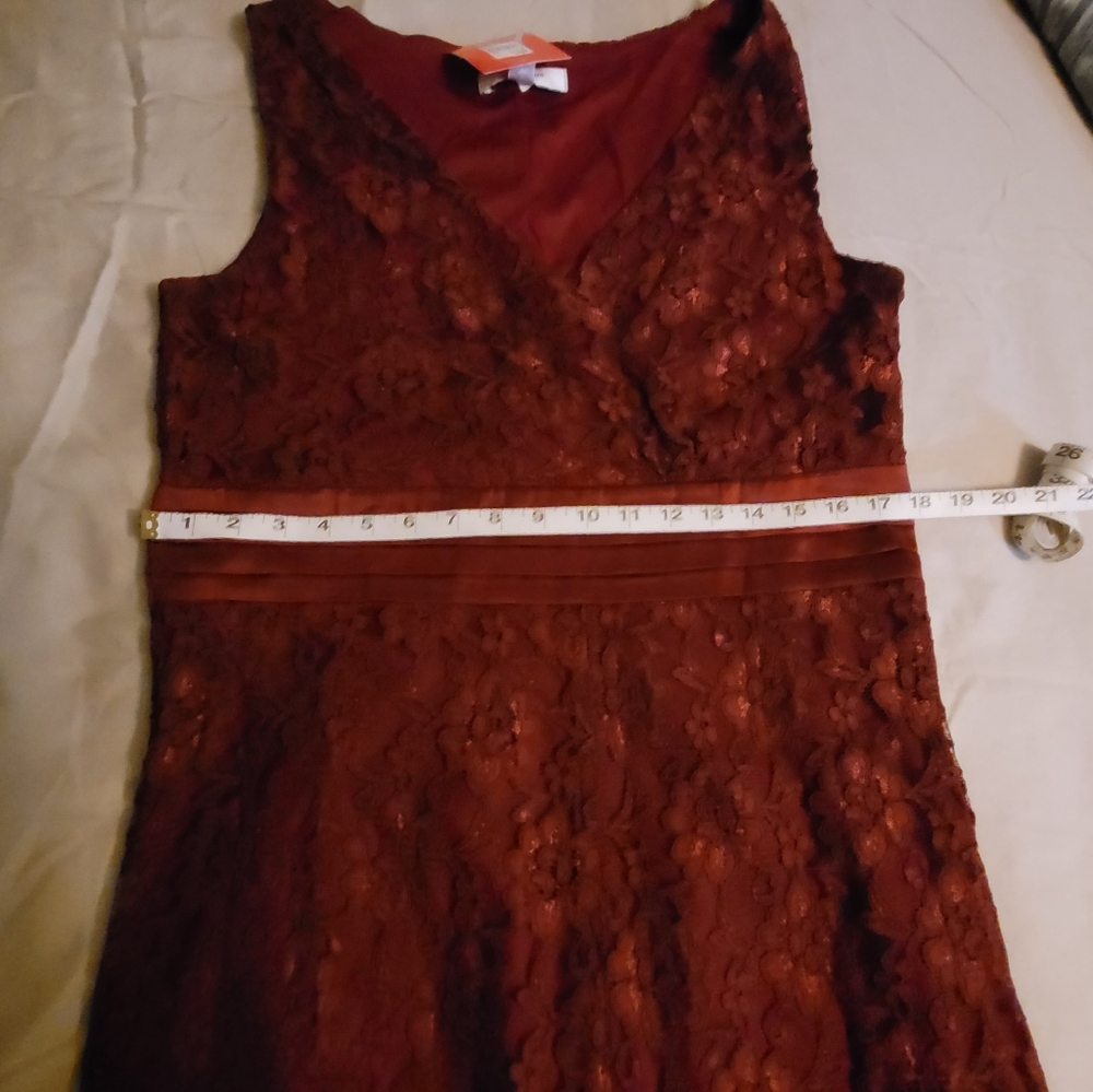 NWT/ ISAAC MIZRAHI LACE DRESS - Picture 3 of 6